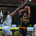 Panteras Barre a Fuerza Regia