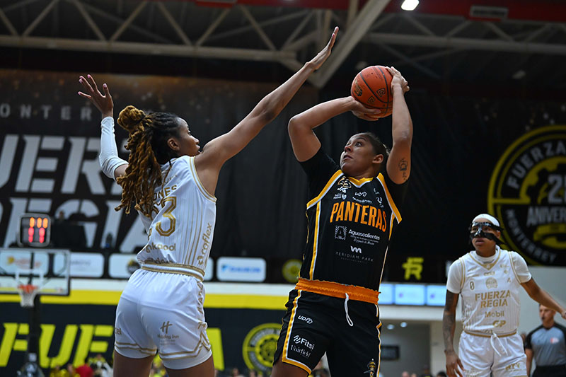 Panteras Barre a Fuerza Regia