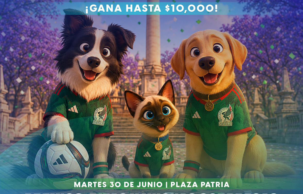 FAN  zONE PET FRIENDLY