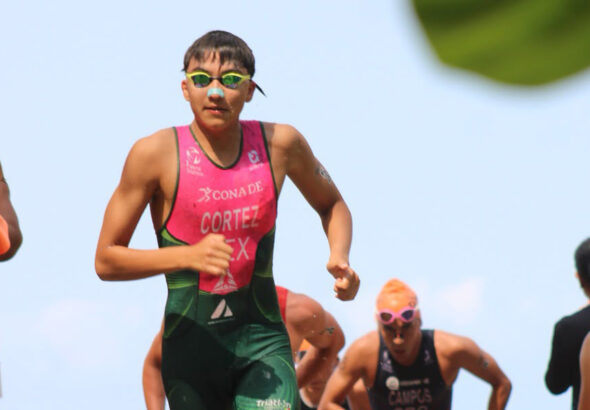 ALESSANDRO CORTEZ