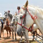 Caballo