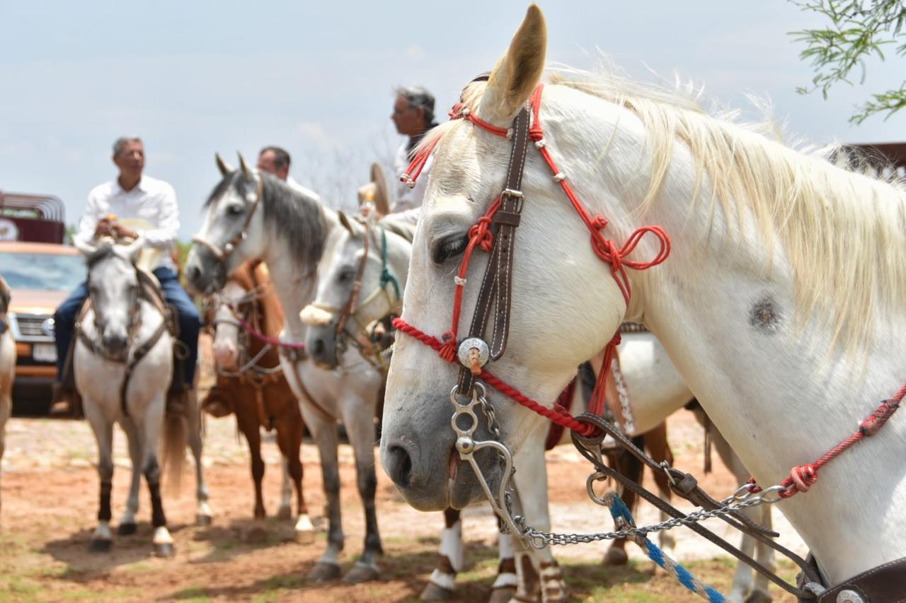 Caballo